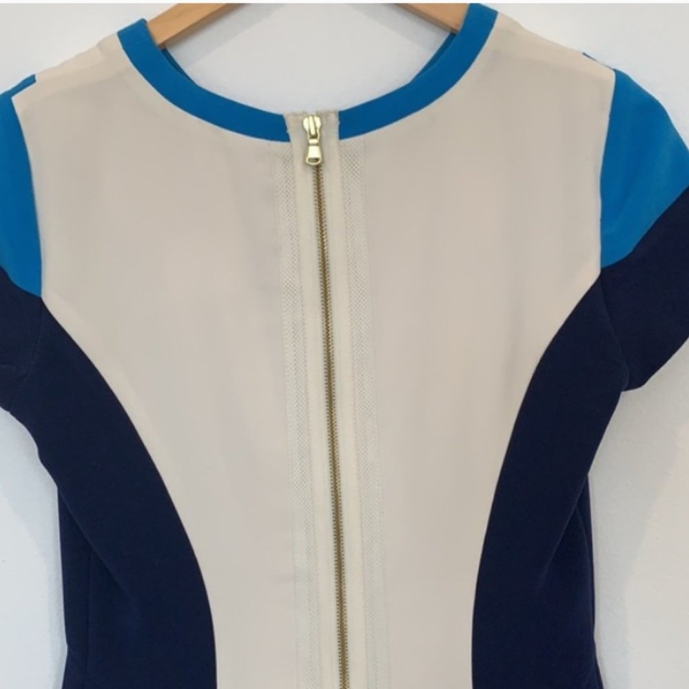 Club Monaco dress